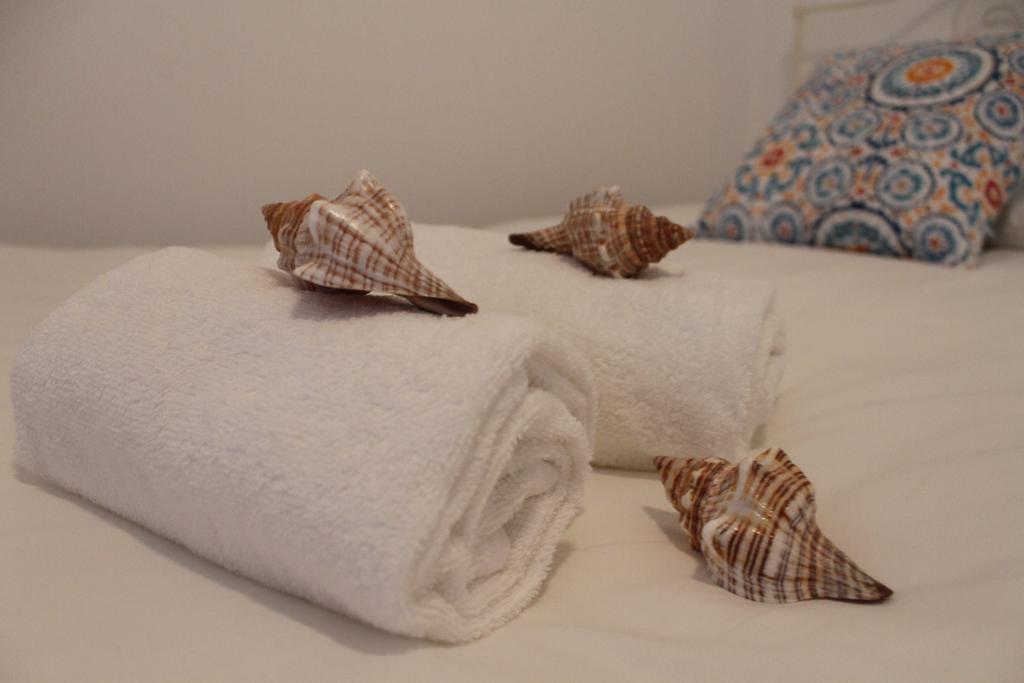 Consolacao Surf & Beach Apartment エクステリア 写真